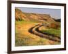 Trail in Grasslands, Columbia National Wildlife Refuge, near Othello, Washington, USA-null-Framed Photographic Print