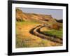 Trail in Grasslands, Columbia National Wildlife Refuge, near Othello, Washington, USA-null-Framed Photographic Print