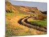 Trail in Grasslands, Columbia National Wildlife Refuge, near Othello, Washington, USA-null-Mounted Photographic Print