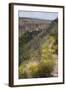 Trail Into Frijoles Canyon, Bandelier National Monument, New Mexico-null-Framed Photographic Print