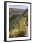 Trail Into Frijoles Canyon, Bandelier National Monument, New Mexico-null-Framed Photographic Print