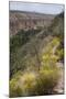 Trail Into Frijoles Canyon, Bandelier National Monument, New Mexico-null-Mounted Photographic Print