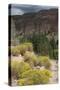 Trail Into of Frijoles Canyon, Bandelier National Monument, New Mexico-null-Stretched Canvas