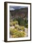 Trail Into of Frijoles Canyon, Bandelier National Monument, New Mexico-null-Framed Photographic Print