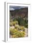 Trail Into of Frijoles Canyon, Bandelier National Monument, New Mexico-null-Framed Photographic Print