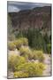 Trail Into of Frijoles Canyon, Bandelier National Monument, New Mexico-null-Mounted Photographic Print