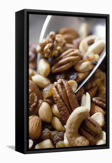 Trail Mix-J.C. Vaillant-Framed Stretched Canvas