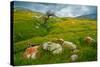 Trail Northward-Mark Geistweite-Stretched Canvas