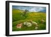 Trail Northward-Mark Geistweite-Framed Premium Photographic Print