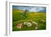 Trail Northward-Mark Geistweite-Framed Premium Photographic Print