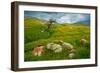 Trail Northward-Mark Geistweite-Framed Photographic Print