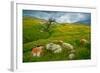 Trail Northward-Mark Geistweite-Framed Photographic Print