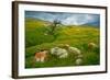 Trail Northward-Mark Geistweite-Framed Photographic Print