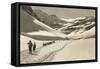 Trail of Cross-Country Skiers-null-Framed Stretched Canvas