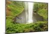 Trail of Ten Falls, Silver Falls State Park, near Silverton, Oregon-Stuart Westmorland-Mounted Photographic Print