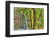 Trail of Ten Falls, Silver Falls State Park, near Silverton, Oregon-Stuart Westmorland-Framed Photographic Print