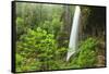 Trail of Ten Falls, Silver Falls State Park, near Silverton, Oregon-Stuart Westmorland-Framed Stretched Canvas