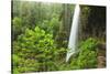 Trail of Ten Falls, Silver Falls State Park, near Silverton, Oregon-Stuart Westmorland-Stretched Canvas