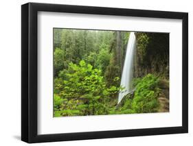 Trail of Ten Falls, Silver Falls State Park, near Silverton, Oregon-Stuart Westmorland-Framed Photographic Print