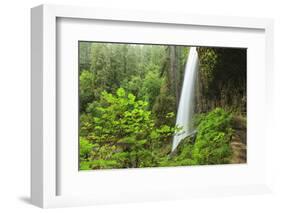 Trail of Ten Falls, Silver Falls State Park, near Silverton, Oregon-Stuart Westmorland-Framed Photographic Print