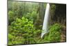 Trail of Ten Falls, Silver Falls State Park, near Silverton, Oregon-Stuart Westmorland-Mounted Photographic Print