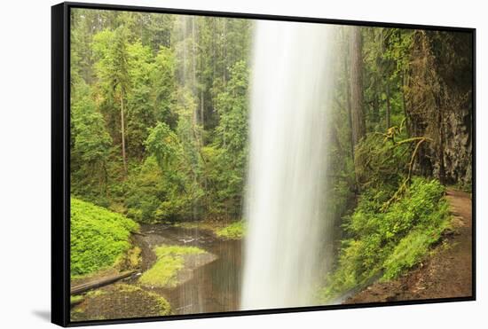 Trail of Ten Falls, Silver Falls State Park, near Silverton, Oregon-Stuart Westmorland-Framed Stretched Canvas