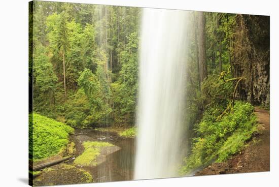 Trail of Ten Falls, Silver Falls State Park, near Silverton, Oregon-Stuart Westmorland-Stretched Canvas