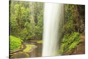 Trail of Ten Falls, Silver Falls State Park, near Silverton, Oregon-Stuart Westmorland-Stretched Canvas