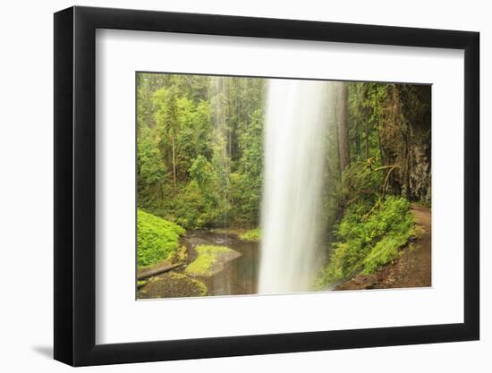 Trail of Ten Falls, Silver Falls State Park, near Silverton, Oregon-Stuart Westmorland-Framed Photographic Print