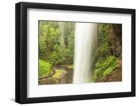 Trail of Ten Falls, Silver Falls State Park, near Silverton, Oregon-Stuart Westmorland-Framed Photographic Print