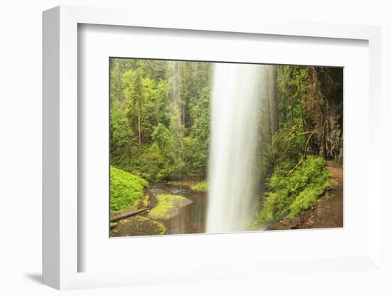 Trail of Ten Falls, Silver Falls State Park, near Silverton, Oregon-Stuart Westmorland-Framed Photographic Print