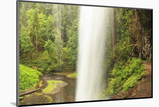 Trail of Ten Falls, Silver Falls State Park, near Silverton, Oregon-Stuart Westmorland-Mounted Photographic Print