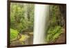 Trail of Ten Falls, Silver Falls State Park, near Silverton, Oregon-Stuart Westmorland-Framed Photographic Print