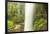 Trail of Ten Falls, Silver Falls State Park, near Silverton, Oregon-Stuart Westmorland-Framed Photographic Print