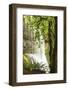 Trail of Ten Falls, Silver Falls State Park, near Silverton, Oregon-Stuart Westmorland-Framed Photographic Print