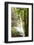 Trail of Ten Falls, Silver Falls State Park, near Silverton, Oregon-Stuart Westmorland-Framed Photographic Print