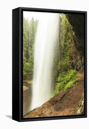 Trail of Ten Falls, Silver Falls State Park, near Silverton, Oregon-Stuart Westmorland-Framed Stretched Canvas
