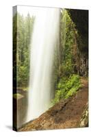 Trail of Ten Falls, Silver Falls State Park, near Silverton, Oregon-Stuart Westmorland-Stretched Canvas