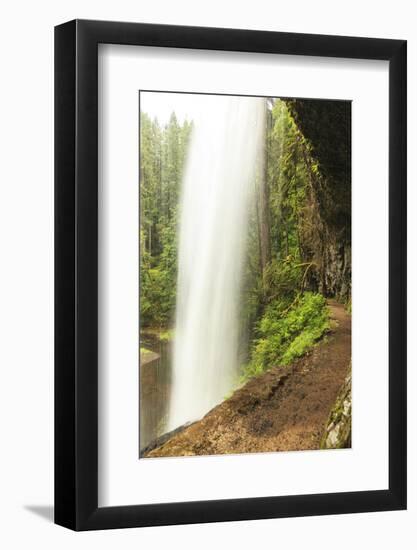 Trail of Ten Falls, Silver Falls State Park, near Silverton, Oregon-Stuart Westmorland-Framed Photographic Print