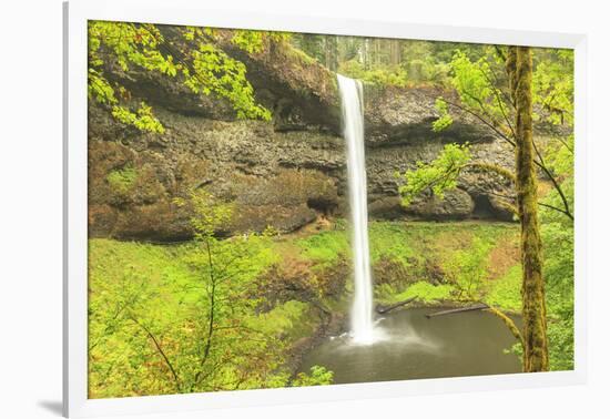 Trail of Ten Falls, Silver Falls State Park, near Silverton, Oregon-Stuart Westmorland-Framed Photographic Print