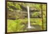 Trail of Ten Falls, Silver Falls State Park, near Silverton, Oregon-Stuart Westmorland-Framed Photographic Print