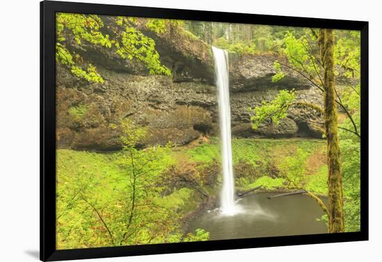 Trail of Ten Falls, Silver Falls State Park, near Silverton, Oregon-Stuart Westmorland-Framed Photographic Print