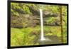 Trail of Ten Falls, Silver Falls State Park, near Silverton, Oregon-Stuart Westmorland-Framed Photographic Print