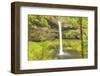 Trail of Ten Falls, Silver Falls State Park, near Silverton, Oregon-Stuart Westmorland-Framed Photographic Print