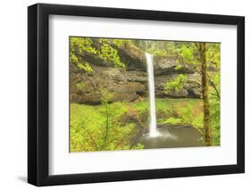 Trail of Ten Falls, Silver Falls State Park, near Silverton, Oregon-Stuart Westmorland-Framed Photographic Print