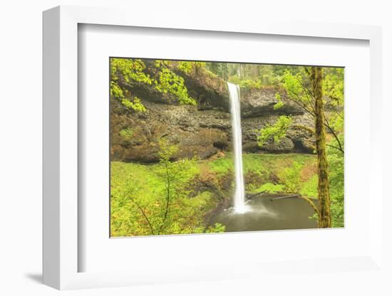 Trail of Ten Falls, Silver Falls State Park, near Silverton, Oregon-Stuart Westmorland-Framed Photographic Print