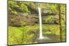 Trail of Ten Falls, Silver Falls State Park, near Silverton, Oregon-Stuart Westmorland-Mounted Photographic Print