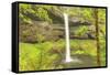 Trail of Ten Falls, Silver Falls State Park, near Silverton, Oregon-Stuart Westmorland-Framed Stretched Canvas