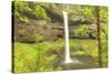 Trail of Ten Falls, Silver Falls State Park, near Silverton, Oregon-Stuart Westmorland-Stretched Canvas