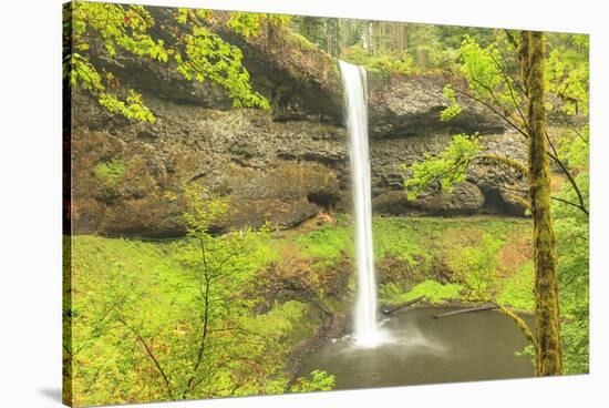 Trail of Ten Falls, Silver Falls State Park, near Silverton, Oregon-Stuart Westmorland-Stretched Canvas